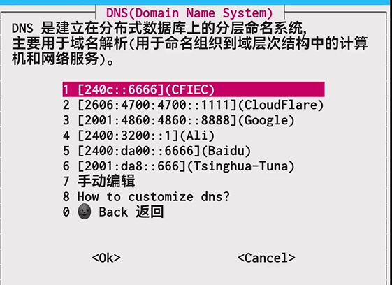 DNS设置